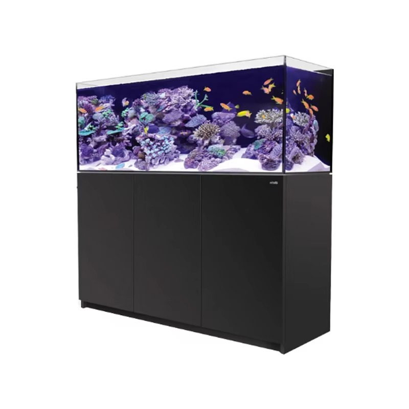Aquarium Marine Setup - Accessori per acquari: Acquario marino senza