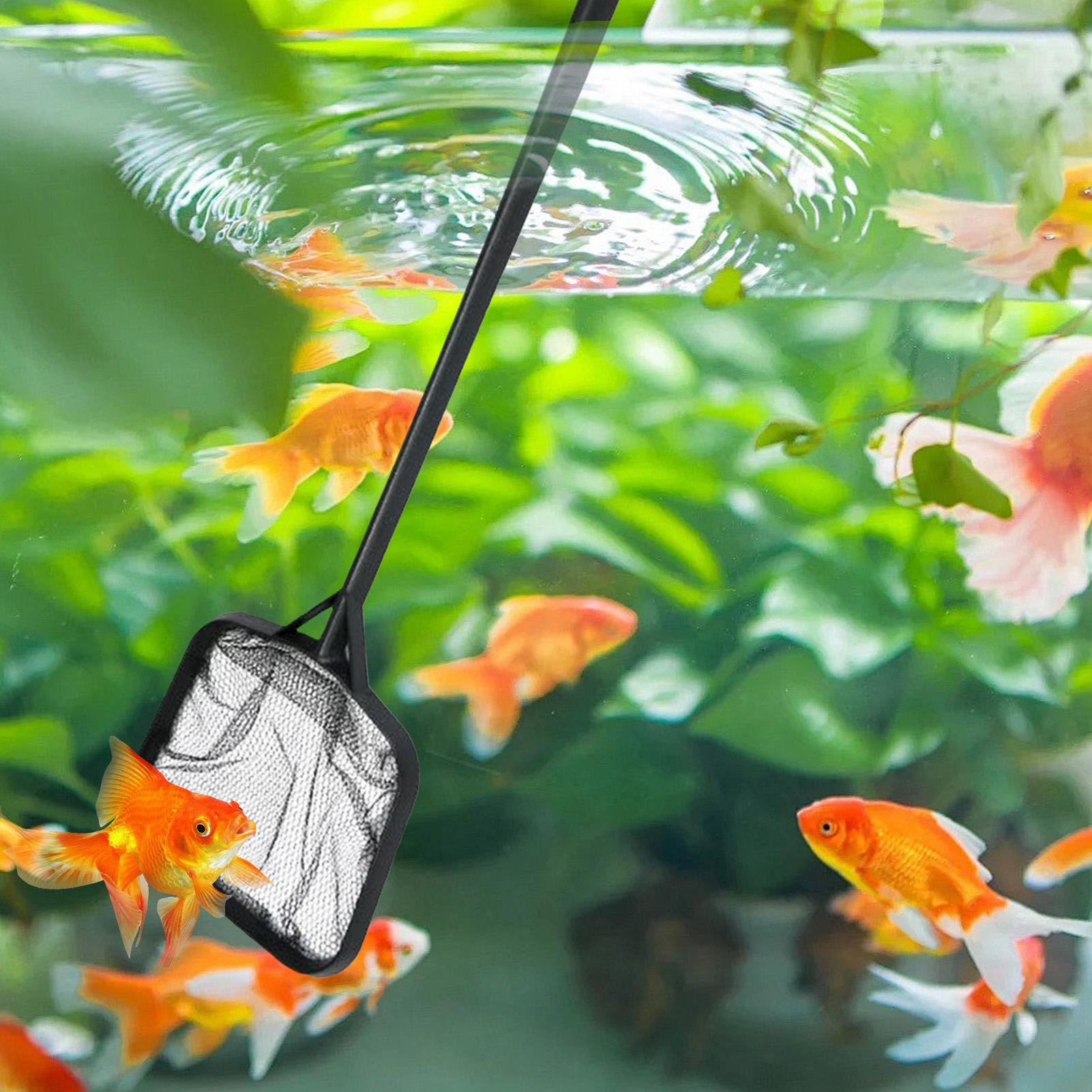 Reti per la Pulizia della Pisc - Aquarium Marine recensione e prezzo
