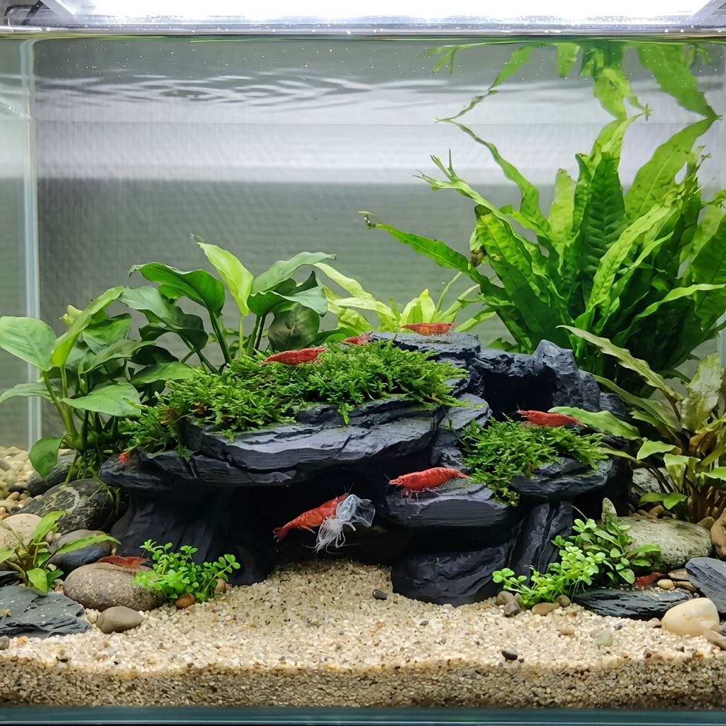 Decorazione per Acquario a For - Aquarium Marine Rock recensione e prezzo