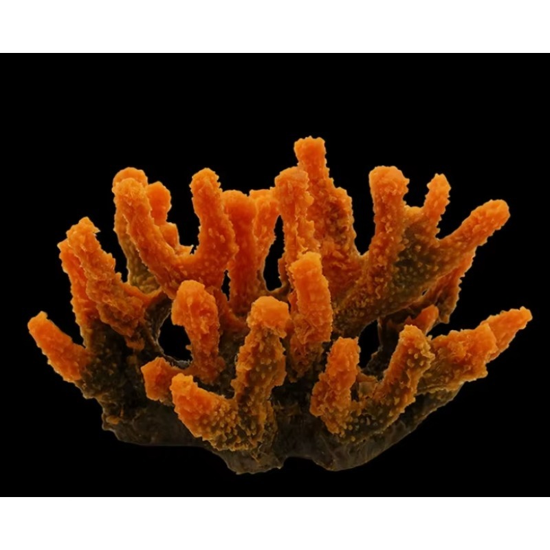 Decorazione per Acquario in Re - Aquarium Marine Rock recensione e prezzo