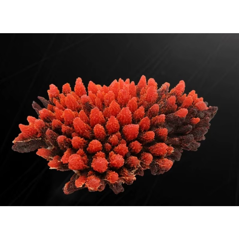 Decorazione per Acquario in Re - Aquarium Marine Rock recensione e prezzo