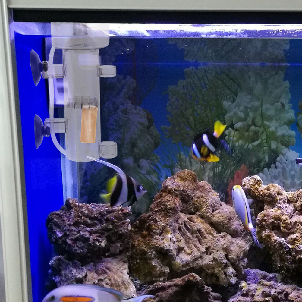 Skimmer di Proteine Interno Mi - Aquarium Marine recensione e prezzo