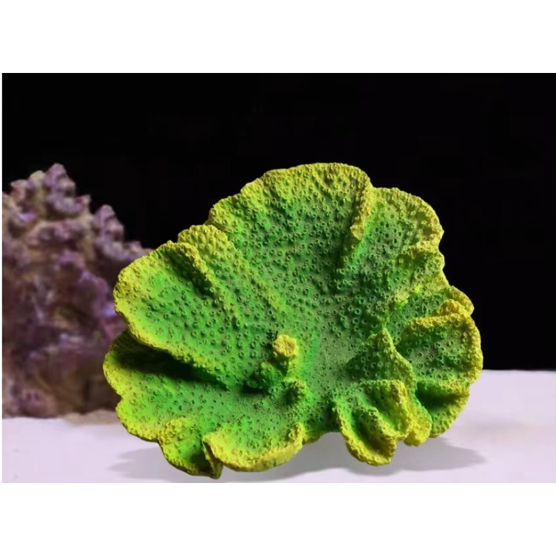 Decorazione Artigianale per Ac - Aquarium Marine Rock recensione e prezzo
