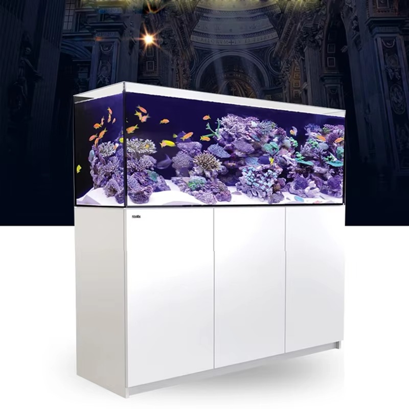 Accessori per acquari: Acquari - Aquarium Marine Setup recensione e prezzo
