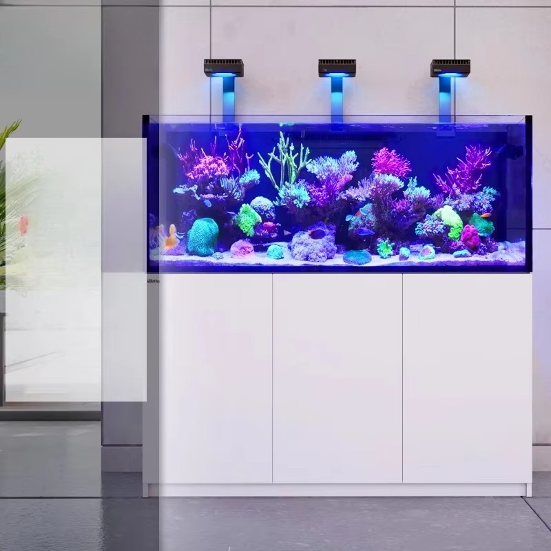 Accessori per acquari: Acquari - Aquarium Marine Setup recensione e prezzo