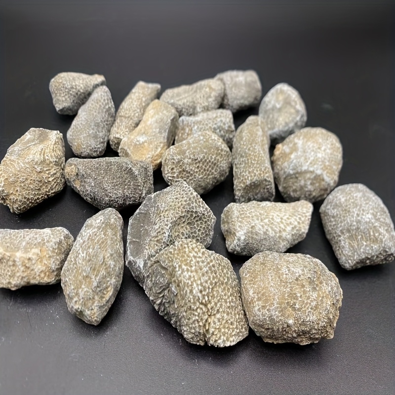Roccia di Corallo Naturale Ada - Aquarium Marine Rock recensione e prezzo